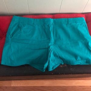 Teal Loft cotton shorts